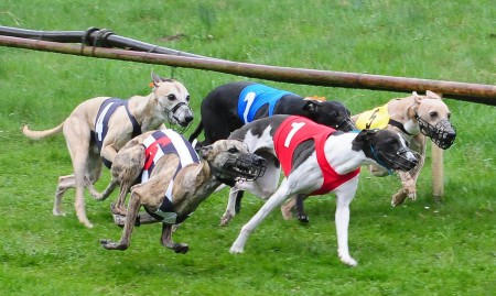 KOLÍN, Inter Bohemia (CACT, B, 7.4.2012)